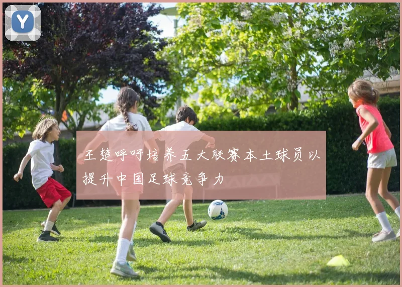 王楚呼吁培养五大联赛本土球员以提升中国足球竞争力
